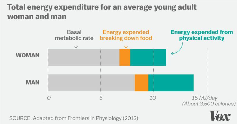 The science is in: exercise won’t help you lose much weight
