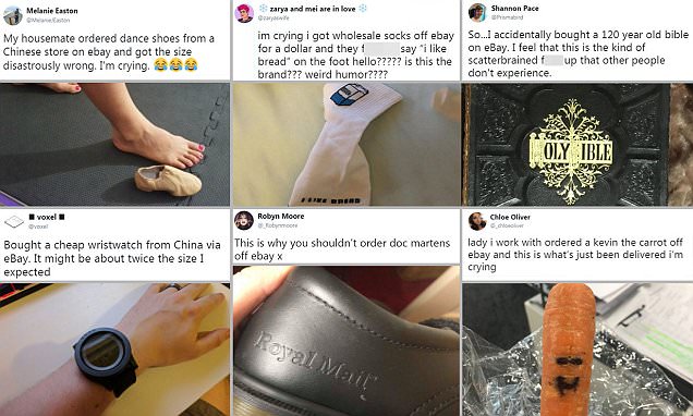 eBay shoppers are left baffled by very bizarre deliveries