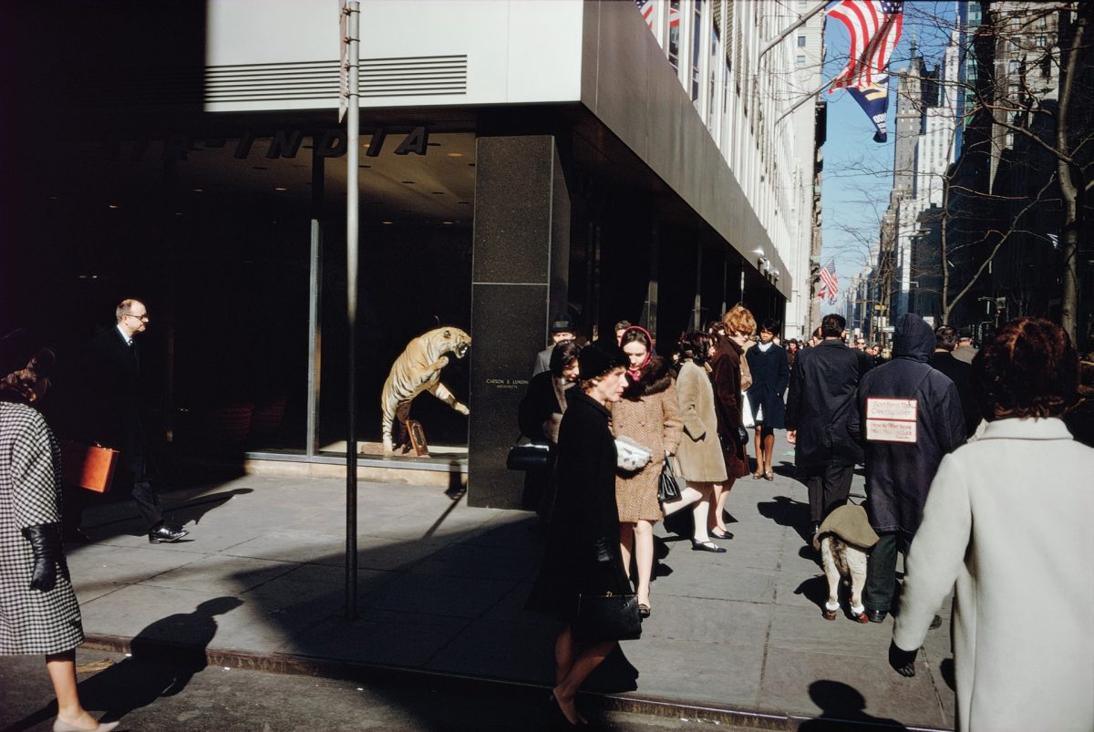 Photography legend Joel Meyerowitz: phones killed the sexiness of the street